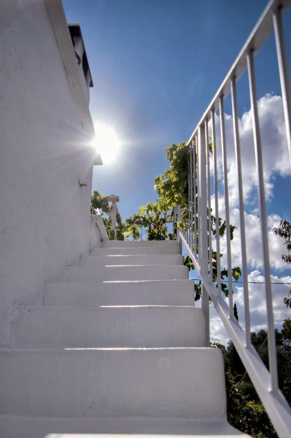 Villa Tommasina Carovigno Exteriér fotografie